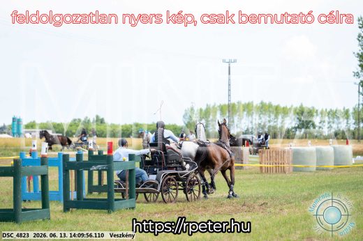 Mintakép 20260613-1141