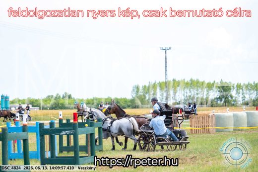 Mintakép 20260613-1142