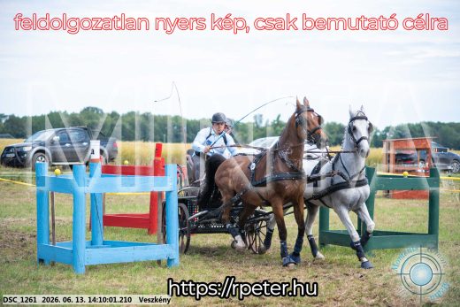 Mintakép 20260613-1143