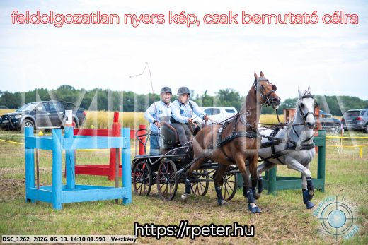 Mintakép 20260613-1144