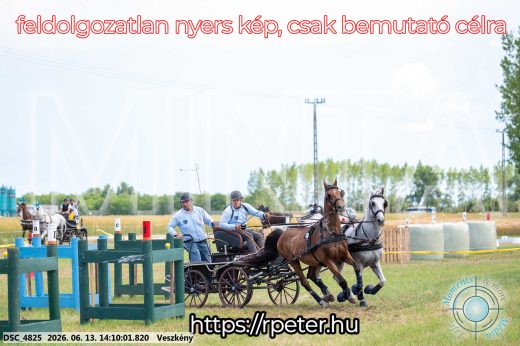 Mintakép 20260613-1145