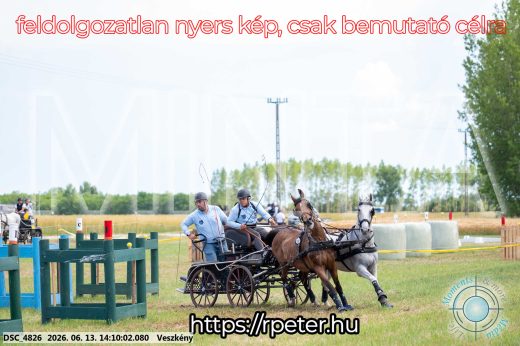 Mintakép 20260613-1146