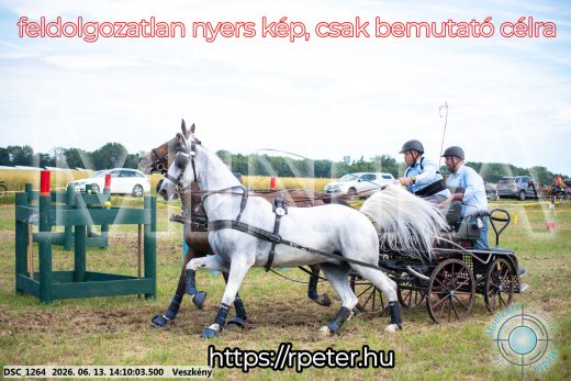 Mintakép 20260613-1147
