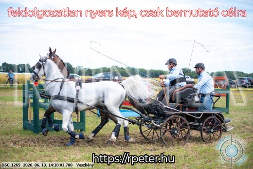 Mintakép 20260613-1148
