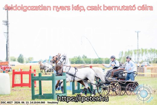 Mintakép 20260613-1149
