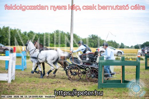 Mintakép 20260613-1150
