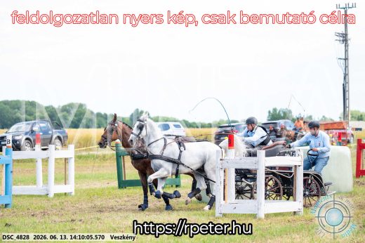 Mintakép 20260613-1151