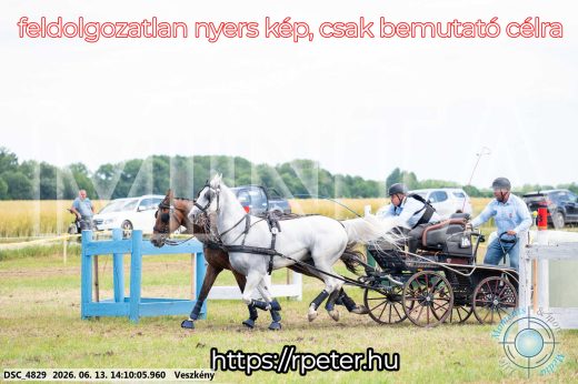 Mintakép 20260613-1152