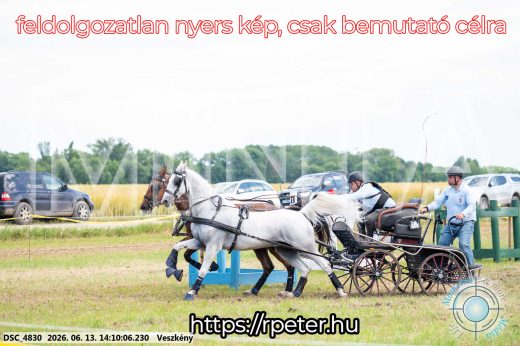 Mintakép 20260613-1153