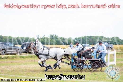 Mintakép 20260613-1154