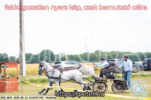 Mintakép 20260613-1156