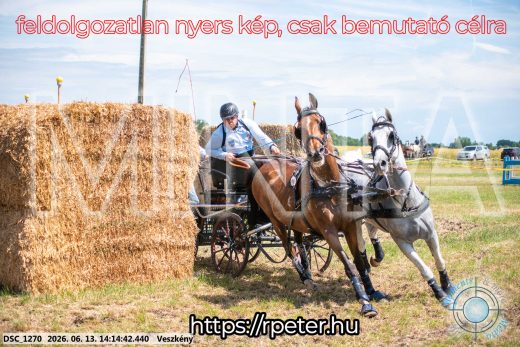 Mintakép 20260613-1157