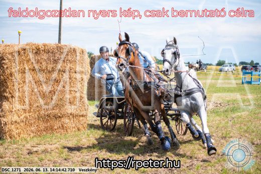 Mintakép 20260613-1158