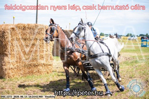 Mintakép 20260613-1159