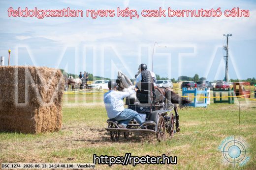Mintakép 20260613-1160