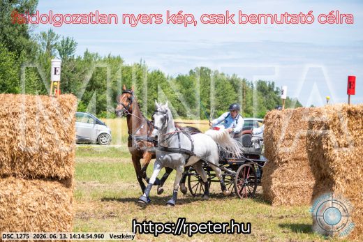 Mintakép 20260613-1161