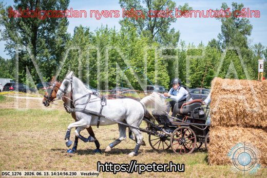 Mintakép 20260613-1162