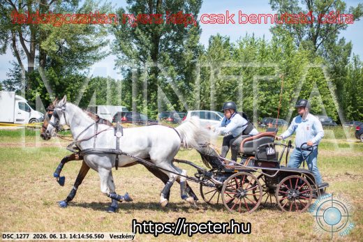 Mintakép 20260613-1163