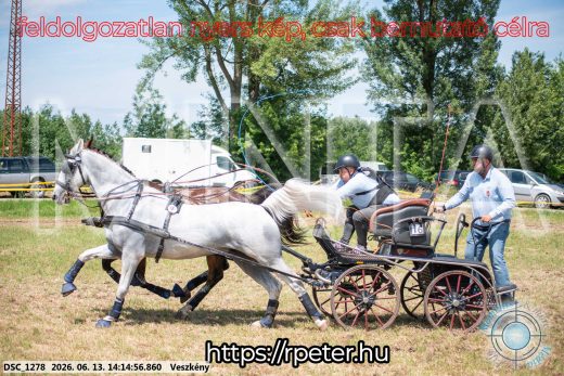 Mintakép 20260613-1164