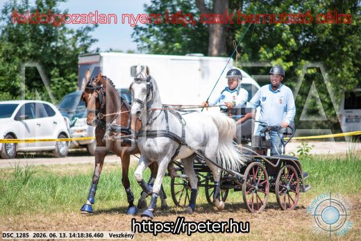 Mintakép 20260613-1165