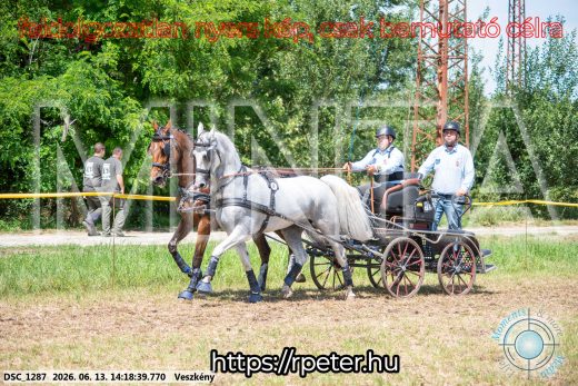 Mintakép 20260613-1167