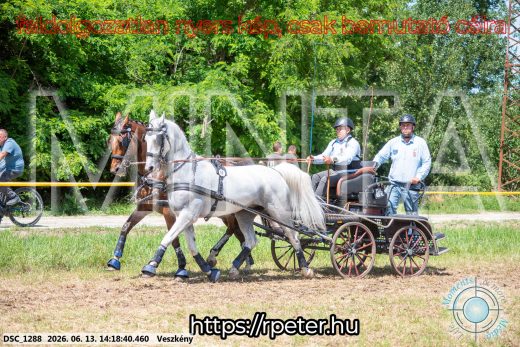 Mintakép 20260613-1168