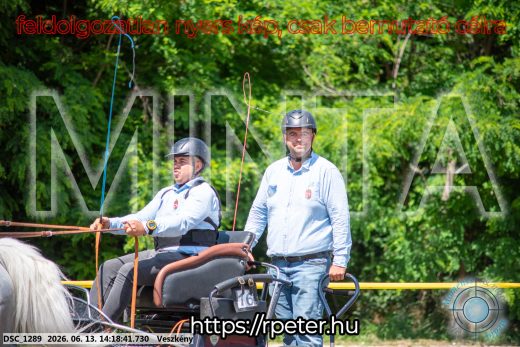 Mintakép 20260613-1169