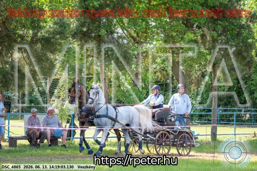 Mintakép 20260613-1170