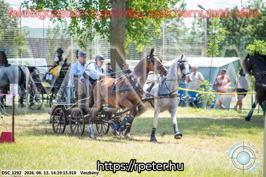 Mintakép 20260613-1171
