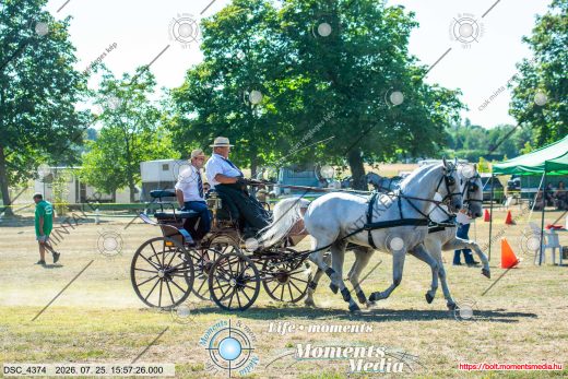 Mintakép 20260725-48