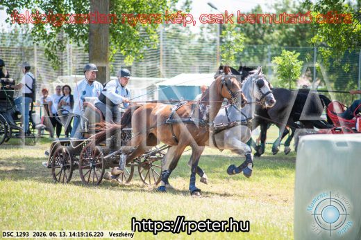 Mintakép 20260613-1172