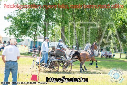 Mintakép 20260613-1173