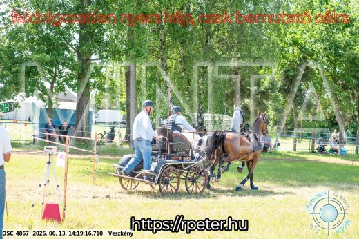 Mintakép 20260613-1174