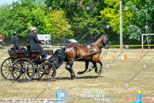 20260725-101731-DSC_2386.jpg