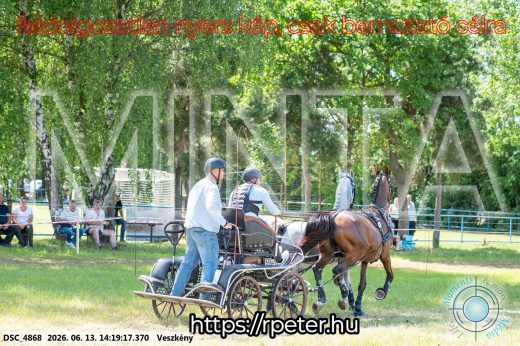 Mintakép 20260613-1175