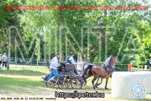 Mintakép 20260613-1176