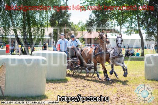 Mintakép 20260613-1177