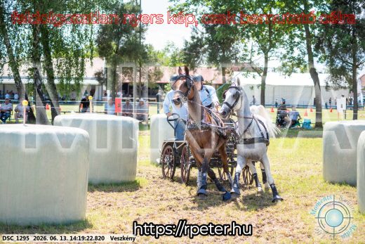 Mintakép 20260613-1178