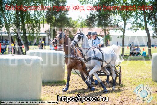 Mintakép 20260613-1179