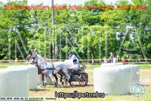 Mintakép 20260613-1180