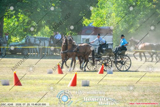 Mintakép 20260725-131