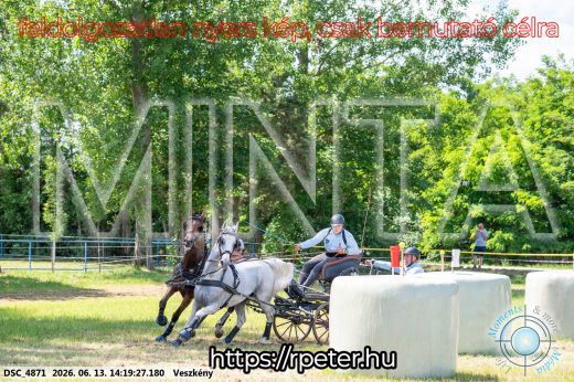 Mintakép 20260613-1181