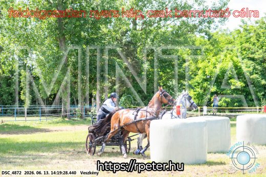 Mintakép 20260613-1182