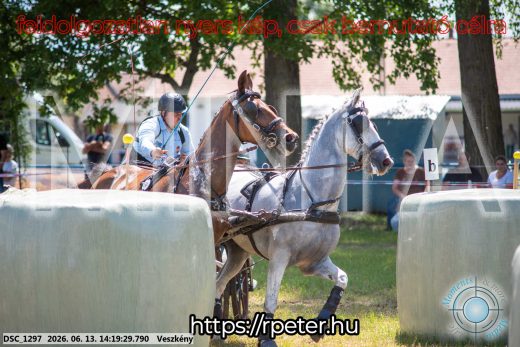 Mintakép 20260613-1183