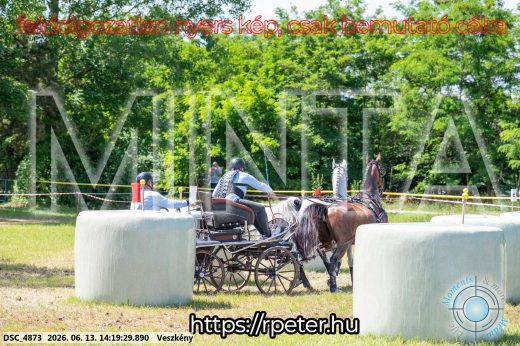 Mintakép 20260613-1184