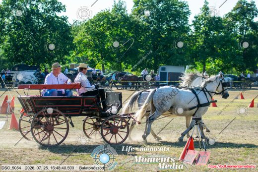 Mintakép 20260725-178