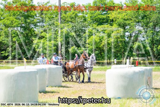 Mintakép 20260613-1185