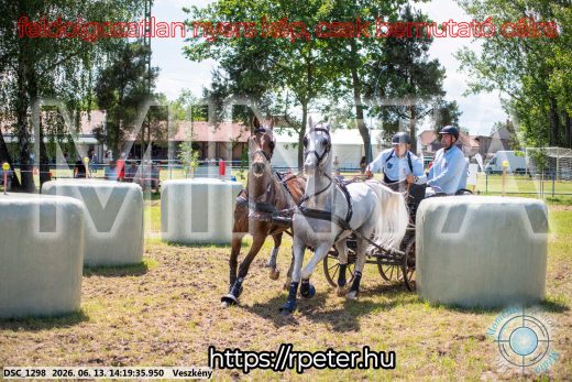 Mintakép 20260613-1186