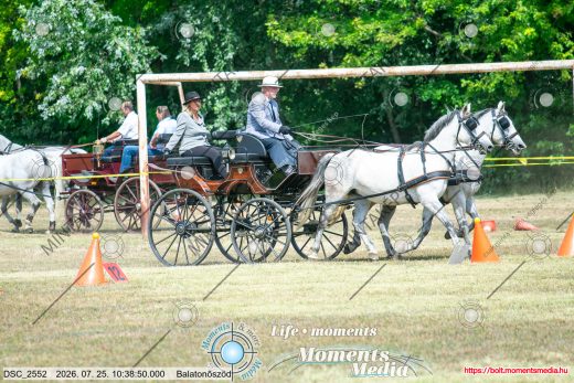 Mintakép 20260725-192