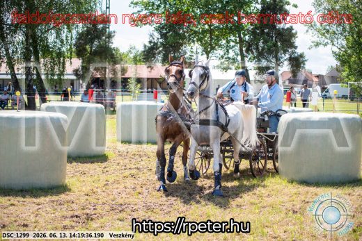 Mintakép 20260613-1187